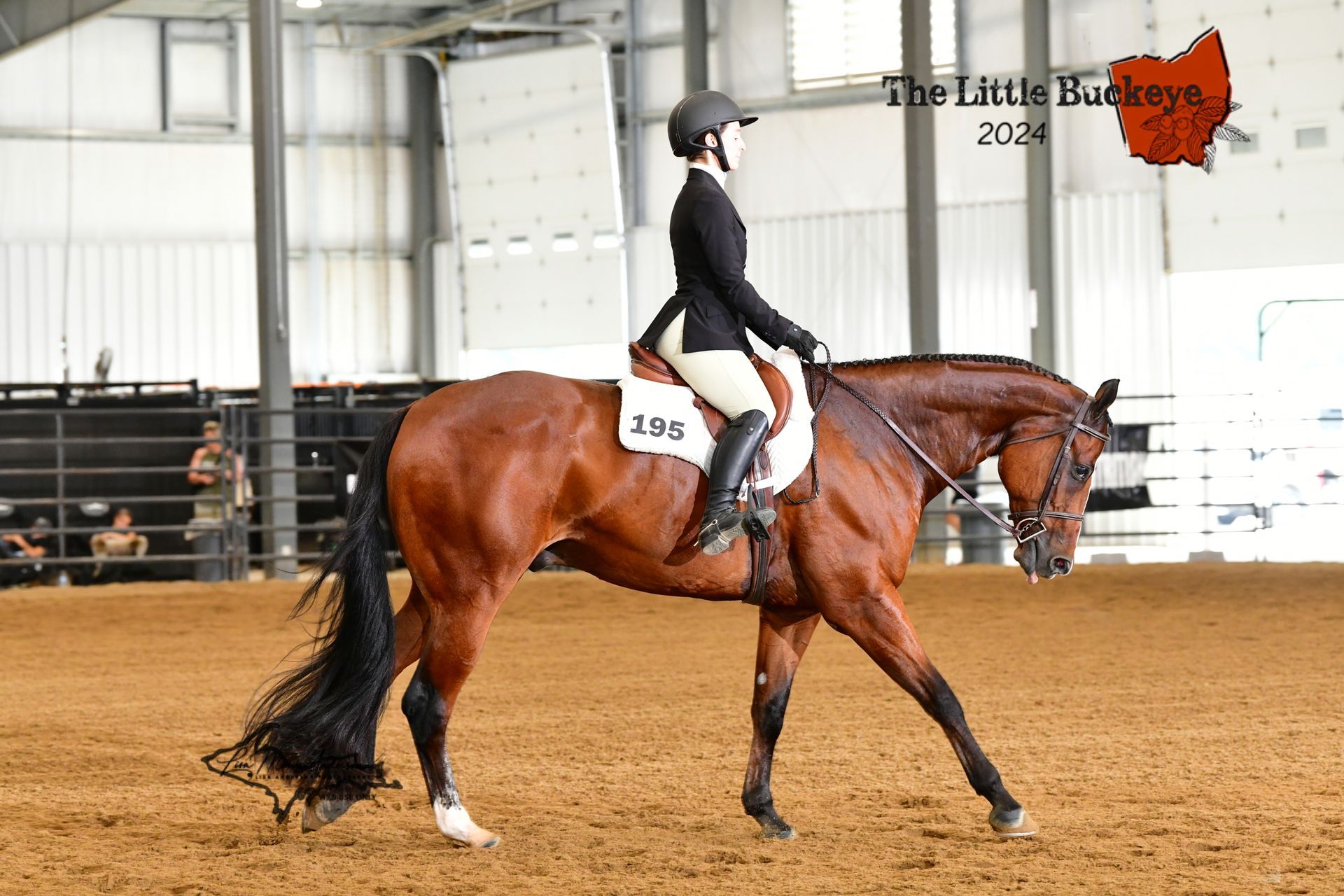 Equestrian rider on a brown horse in an indoor arena, wearing a black jacket and helmet, performing.
