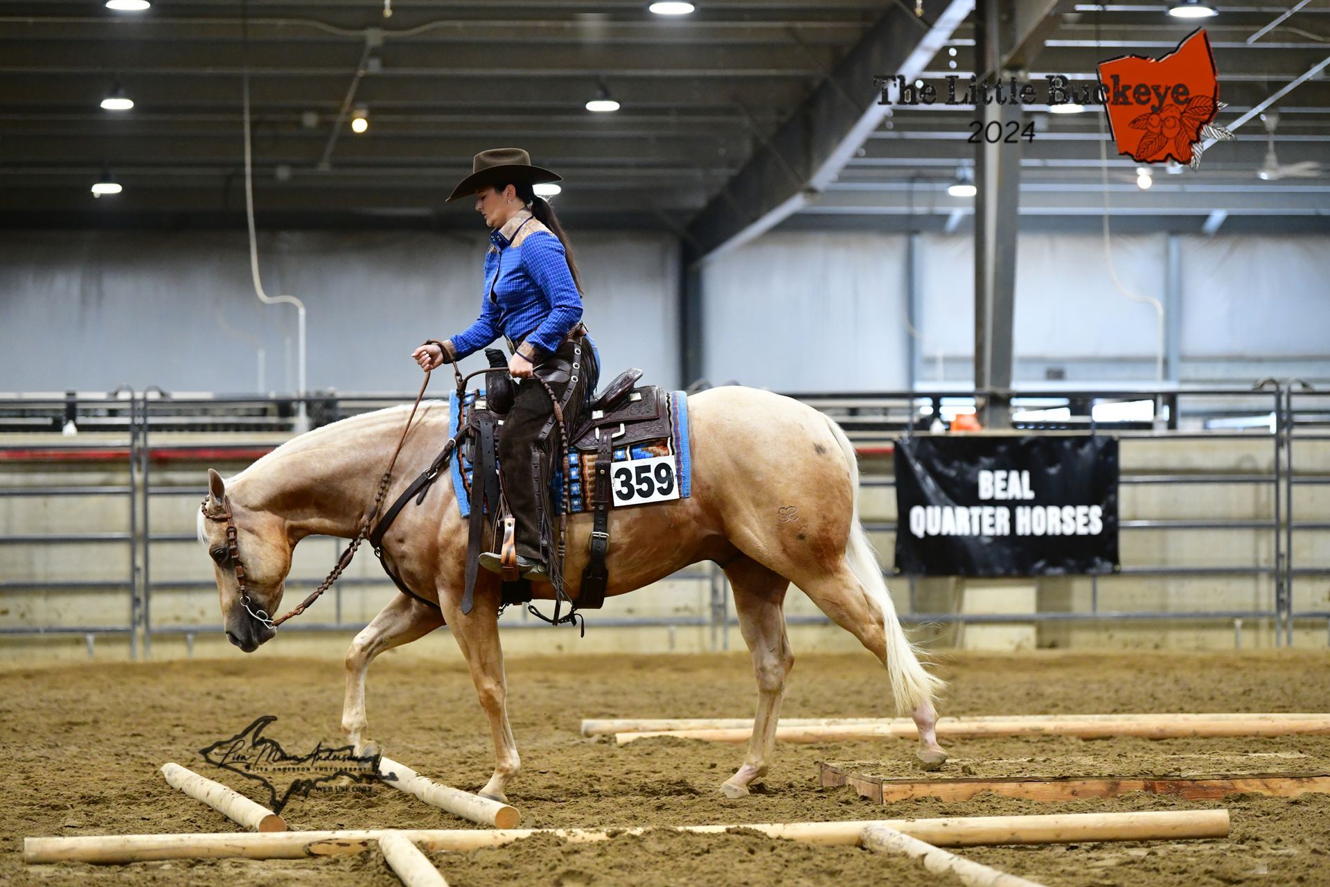A rider on a palomino horse navigates wooden poles in an indoor arena; Ohio Quarter Horse show.