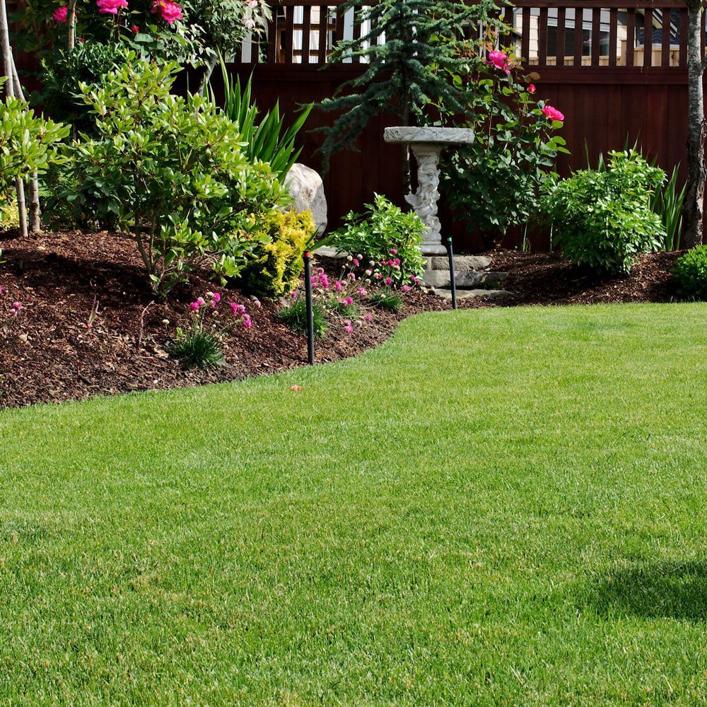 Lawn — Evans City, PA — VicNor Farms
