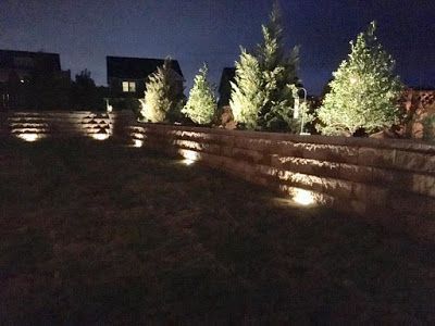 Nighttime garden with illuminated evergreen trees along a stepped stone wall