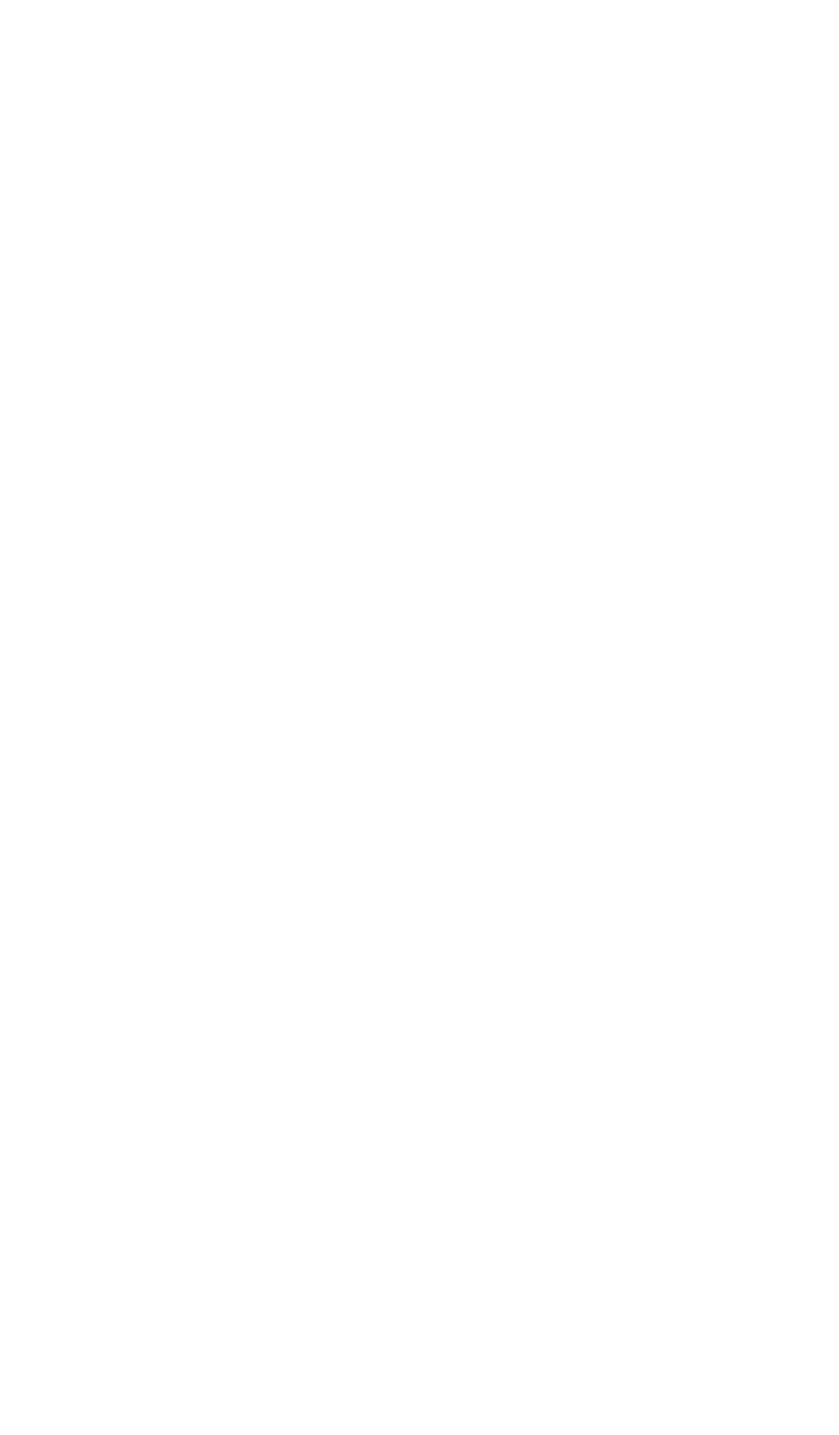 Blank white vertical rectangle with a thin dark border on the right side.
