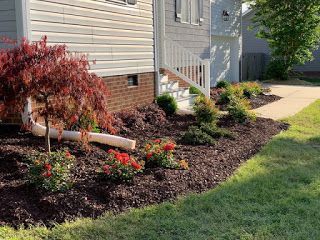 Landscaped front yard with red shrubs, flowers, mulch bed, and a house walkway
