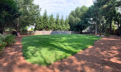 Landscaped backyard with green lawn, surrounding trees, and a fence in the background