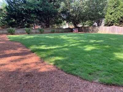 Grassy backyard with trees, a wooden fence, and a dirt path along the left side