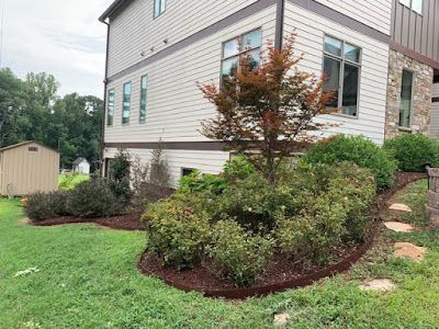 Suburban house exterior with landscaped shrubs, lawn, and a small shed in the background