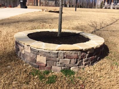 Circular stone planter around a young tree in a grassy yard