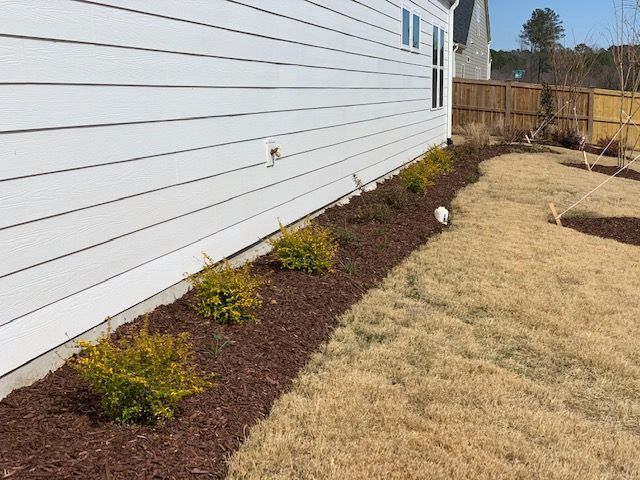 White house siding beside a mulched garden bed with small shrubs and a grassy yard along a fence