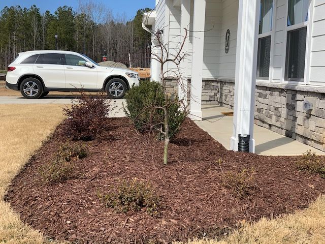 Mulched front yard bed with young trees beside a house and a white SUV in the driveway