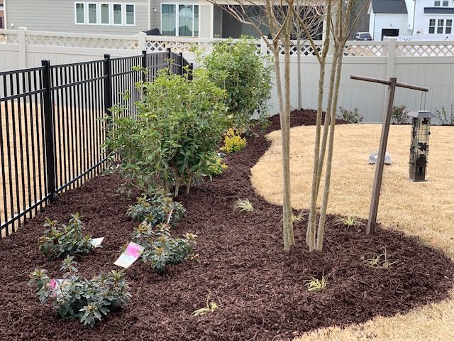 Landscaped yard bed with shrubs, mulch, a small tree, and black metal fence along a white wall.