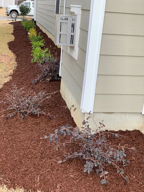 Side yard with red mulch, small shrubs, and a beige house exterior with a white window box.