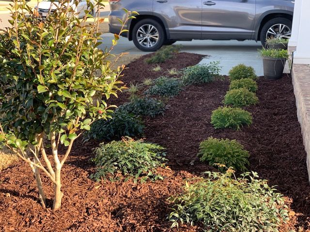 Landscaped front yard with shrubs, mulch, and a parked silver car in the background