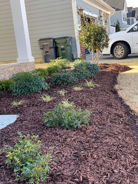 Mulched front yard garden beds with small shrubs beside a house and driveway with a parked white car