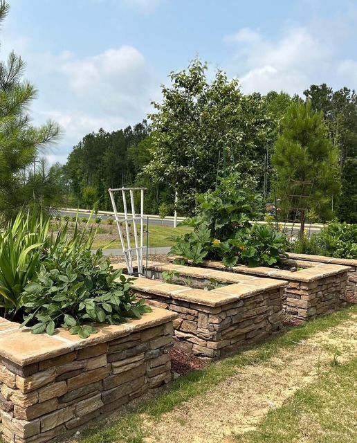 Raised stone garden beds with plants and trellis in a sunny landscaped yard