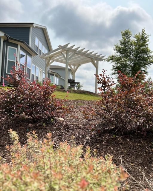 Backyard patio with white pergola, house siding, and red shrubs under a cloudy sky