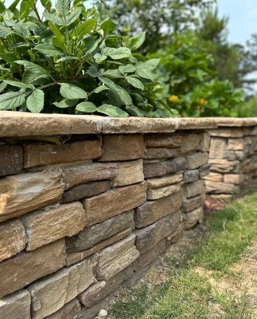 Stone garden wall with green plants growing above it beside a grassy path