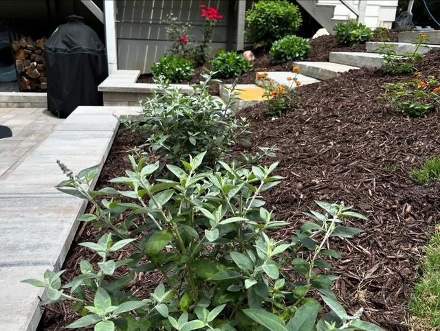 Front walkway with potted plants, mulch bed, and steps leading to a house entrance