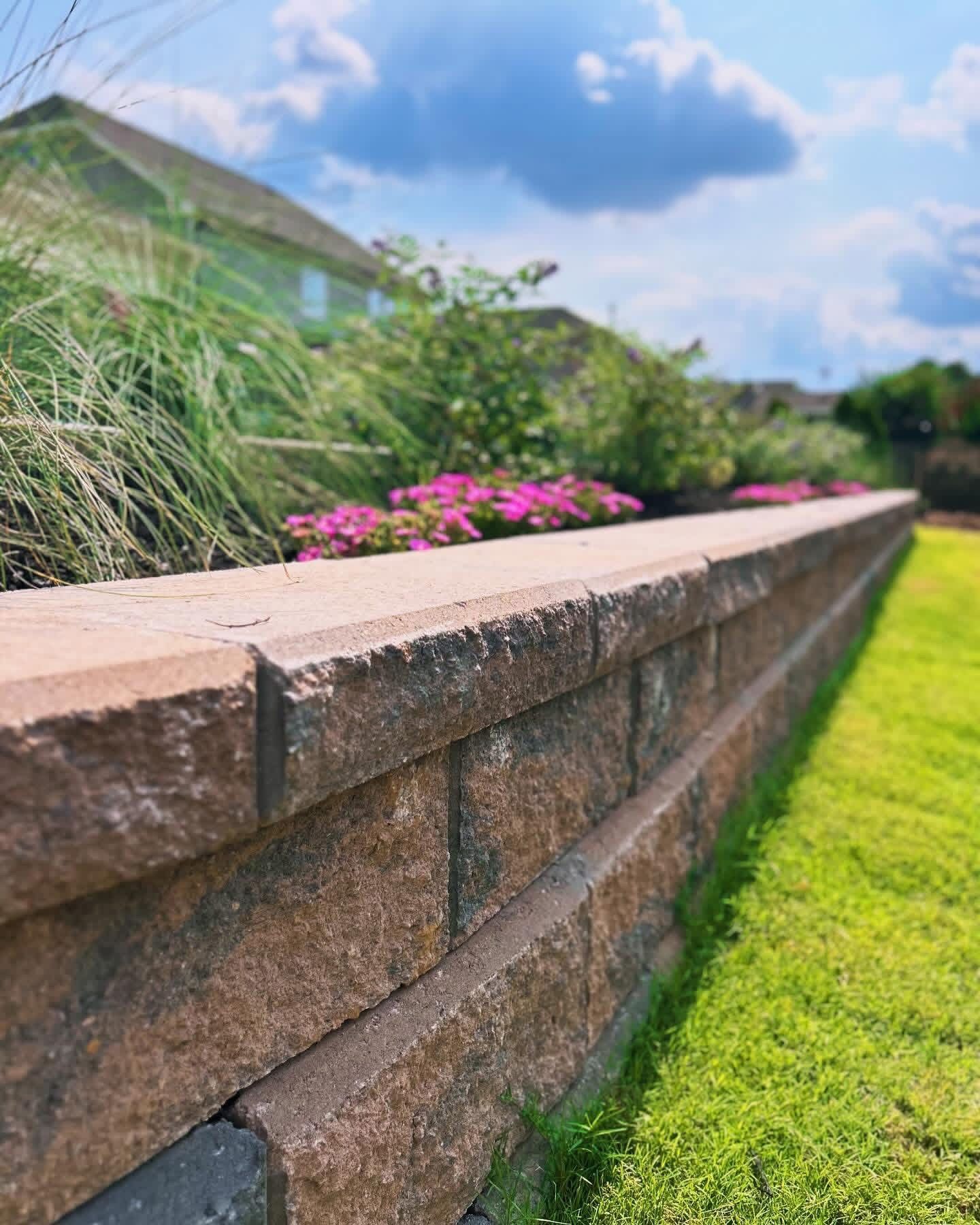 Stone garden wall topped with pink flowers beside a green lawn under a blue sky