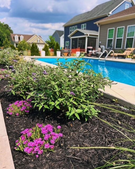 Backyard pool beside a house, with blooming pink flowers in the foreground.