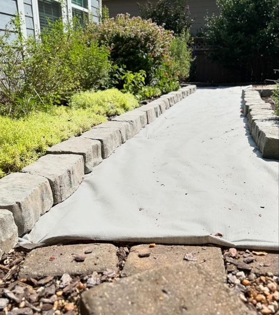 Sunlit garden path covered with white fabric, bordered by stone blocks and green shrubs