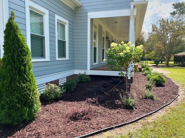 Front yard landscaping beside a blue house with mulch, shrubs, and a small tree by the porch