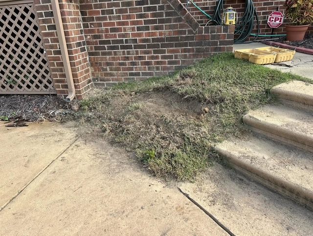 Overgrown grass beside brick steps and a concrete walkway near a house