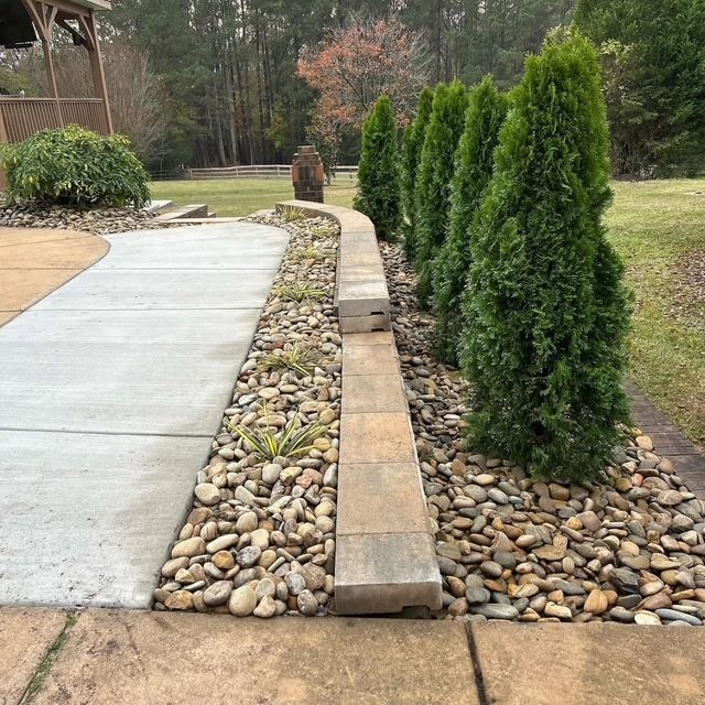 Concrete driveway beside a landscaped yard with river rocks, a stone border, and tall evergreen shrubs