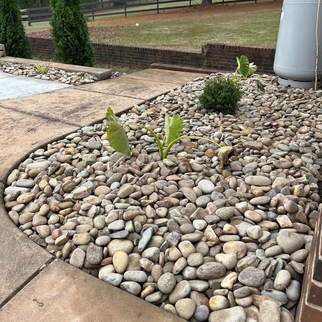 Rock-covered garden bed with small green plants beside a concrete walkway and brick border.