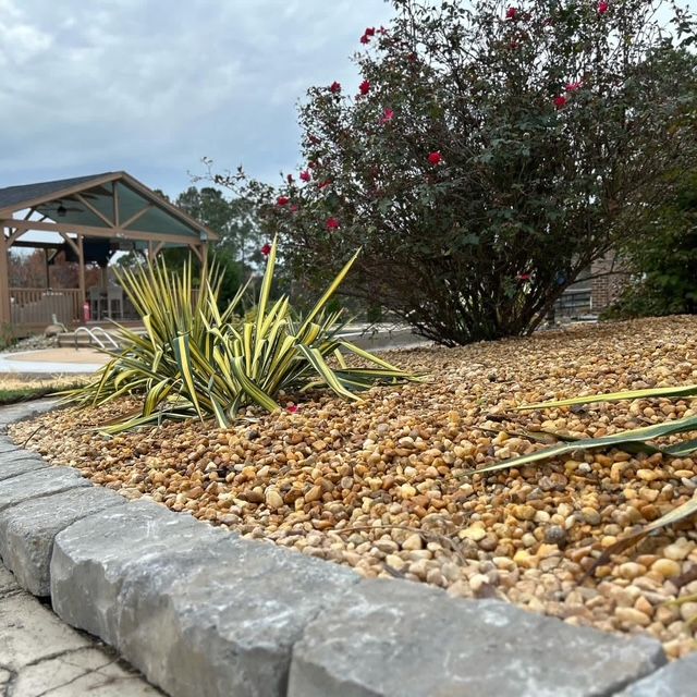 Landscaped yard with agave plants, pebble ground cover, stone edging, and a flowering tree under cloudy sky