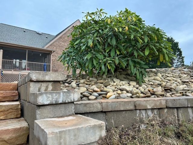 Stone steps beside a raised rock garden with a large green shrub in front of a house