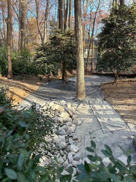 Wooded garden path with stone pavers, rocks, and bare trees in winter light