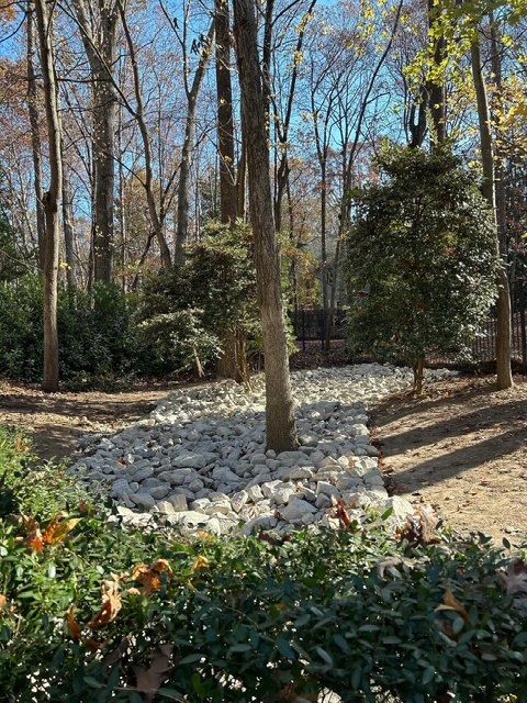 Wooded landscape with a dry creek bed of white stones, surrounded by trees and shrubs under a clear blue sky