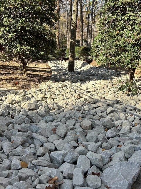 Rock-lined dry creek bed winding through a wooded garden with trees and shrubs on both sides