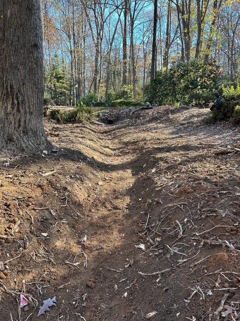 Wooded trail with a dirt path winding through leaf-covered ground and bare trees
