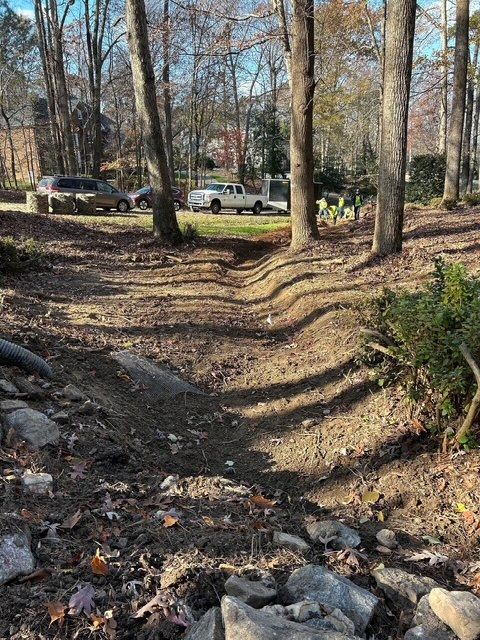 Wooded dirt trail with parked cars in the background on a sunny day