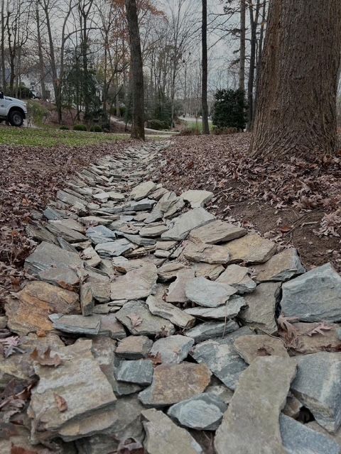 Rock-lined drainage ditch in a wooded yard with leaf-covered ground