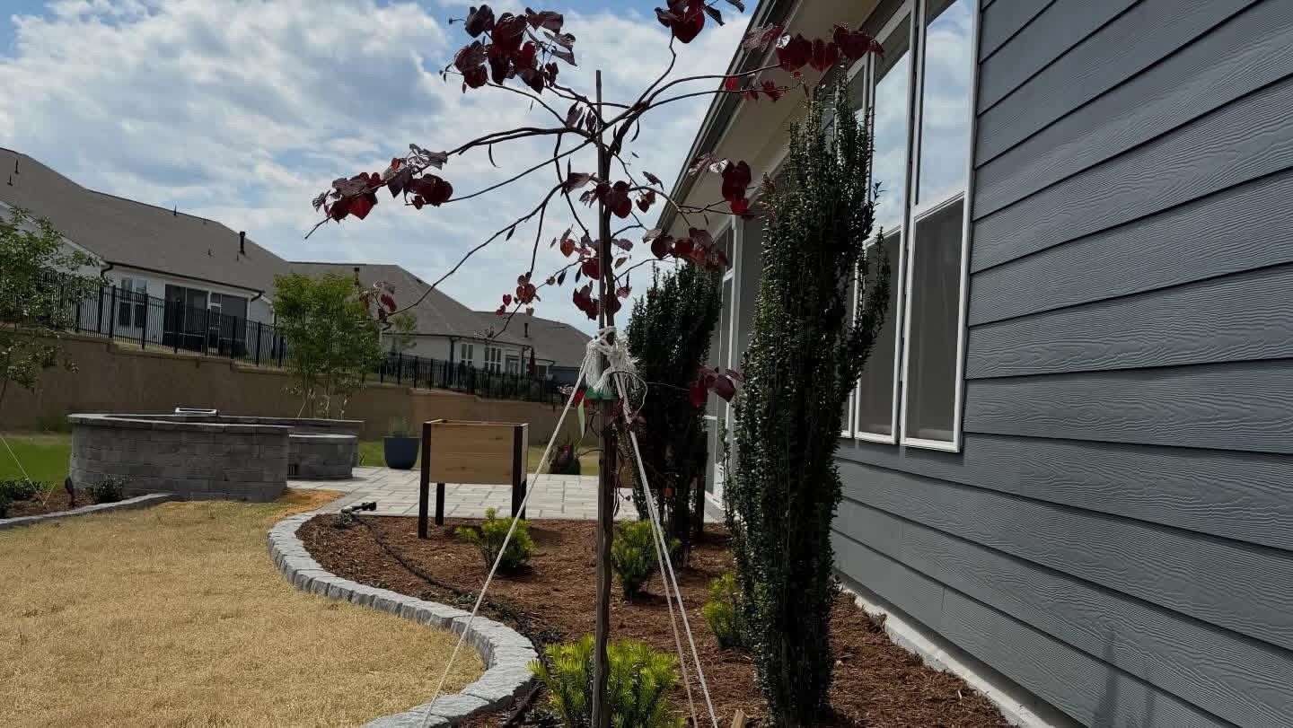 Landscaped yard beside a gray house with young trees, mulch beds, and a curved gravel path under cloudy skies