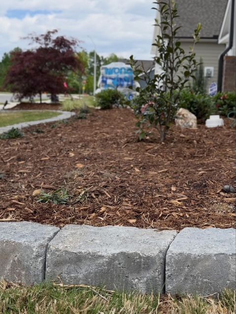 Mulched front yard bed with small trees and shrubs beside a stone curb and house exterior