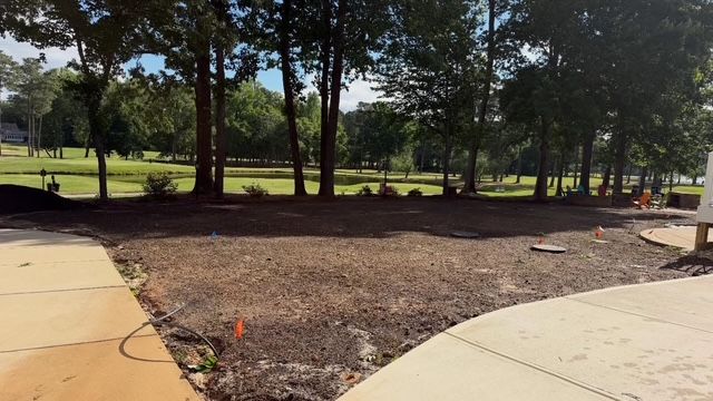 Curved concrete paths around a mulched planting bed in a park with trees and open grassy field beyond.