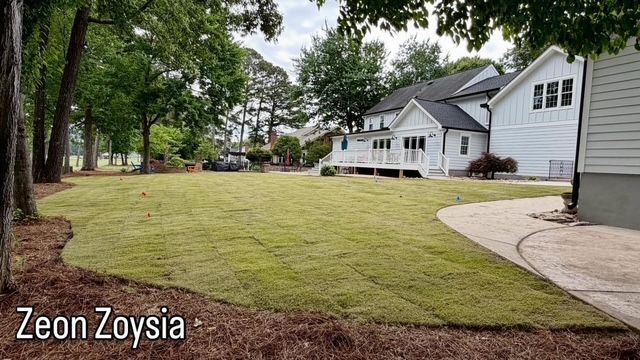 Zoysia lawn with a curved driveway beside a white house and trees in a residential yard.