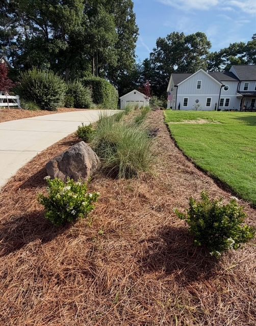Mulched roadside planting bed with shrubs and tall grasses beside a driveway and suburban houses