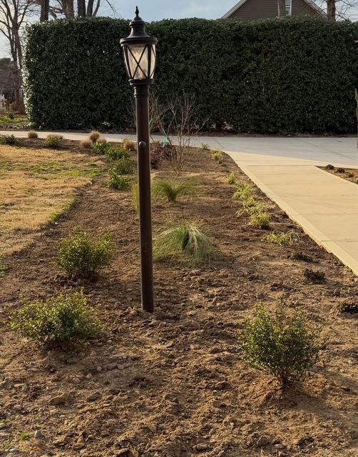 Front yard with a black lamp post, sparse plants, dirt, and a sidewalk beside a hedge