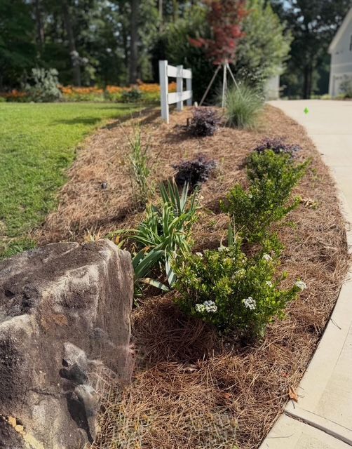 Curved mulched garden bed with small shrubs and flowers beside a concrete sidewalk and white fence