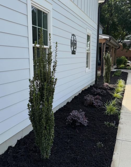Landscaped side yard with white siding, black mulch, shrubs, and a concrete walkway