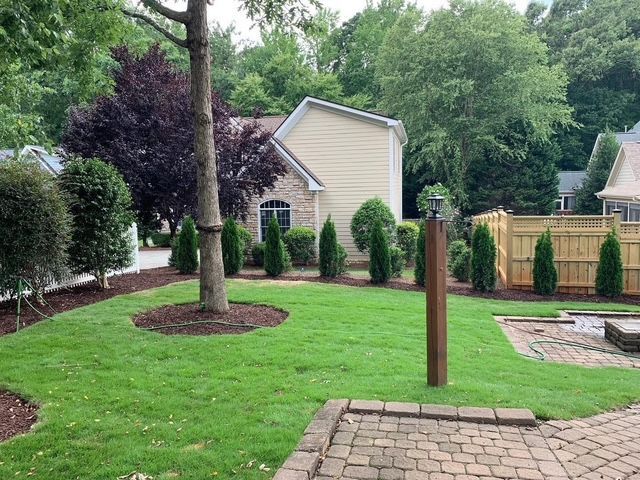Backyard with green lawn, trees, shrubs, and a beige shed beside a paved patio and wooden fence