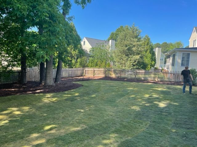 Sunny backyard lawn with trees, wooden fence, and a person standing near a house