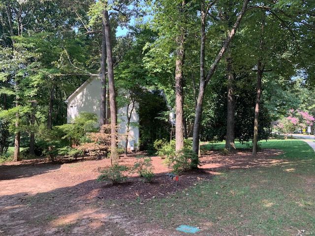 Wooded yard with tall trees, a small house, and a dirt path in the sunlight.