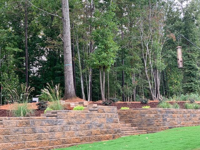 Stone retaining wall in a landscaped forest garden with tall trees and green lawn