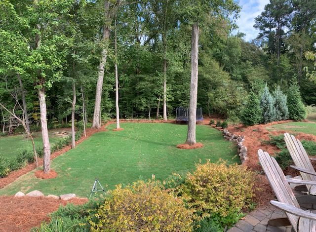 Landscaped backyard with green lawn, tall trees, shrubs, and wooden chairs by a mulch border