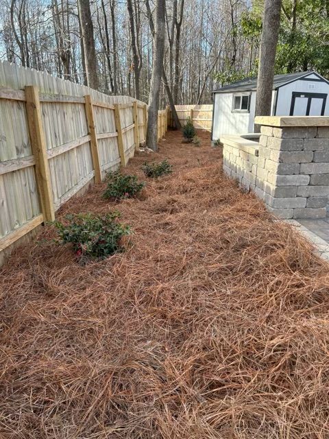Mulched backyard path between a wooden fence and stone wall beside a shed, with bare trees in the background