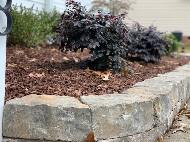 Raised stone garden bed with dark mulch and small purple shrubs along a house wall
